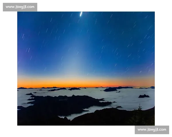 晨雾与羽翅：鸟里的早安启示